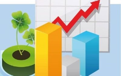 INFORMACIÓN SOBRE EL DESEMPEÑO AMBIENTAL DE GEHYM 2024